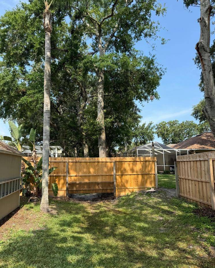 Tree removal setup