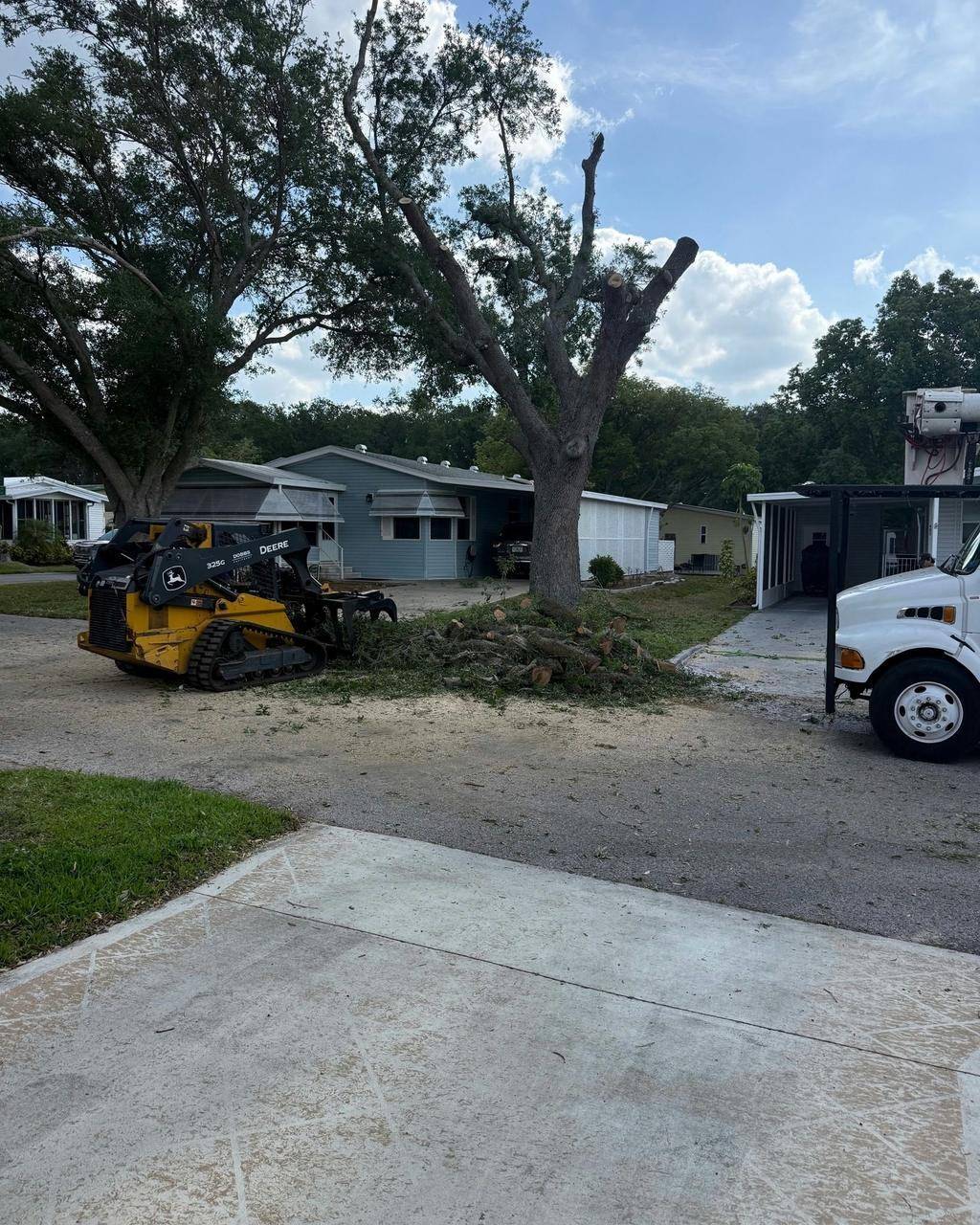 Large tree service job with equipment on site