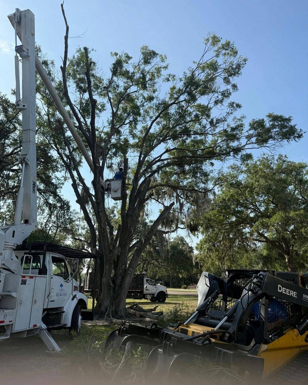 81Tree Services crew on a residential tree care job