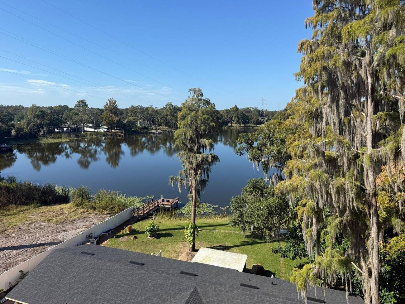 81Tree Services tree care work