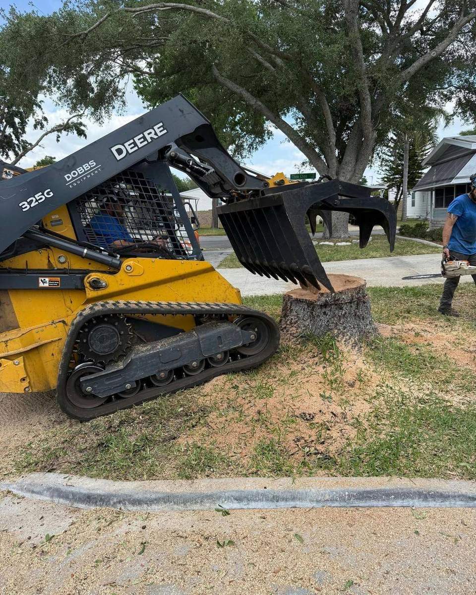 Loader collecting tree debris for hauling