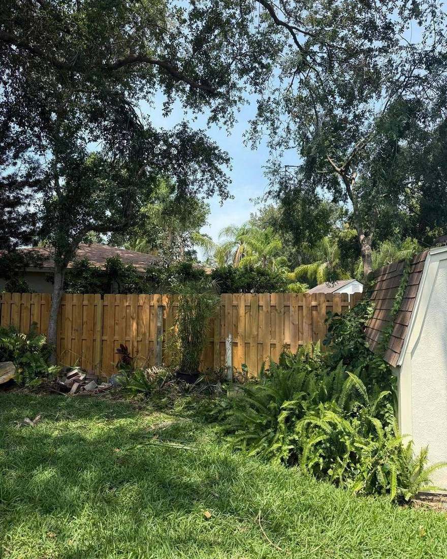 Residential yard cleanup