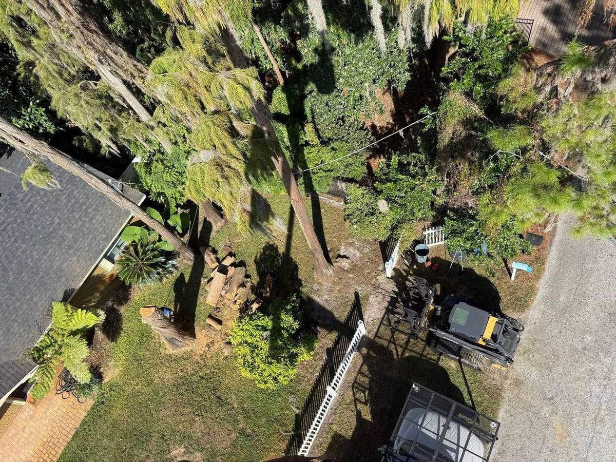 Tree service crew working at a residential property